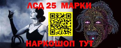 индика Балахна