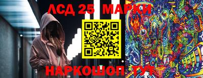 индика Балахна