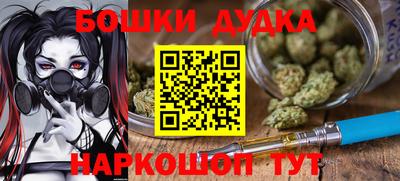 индика Балахна