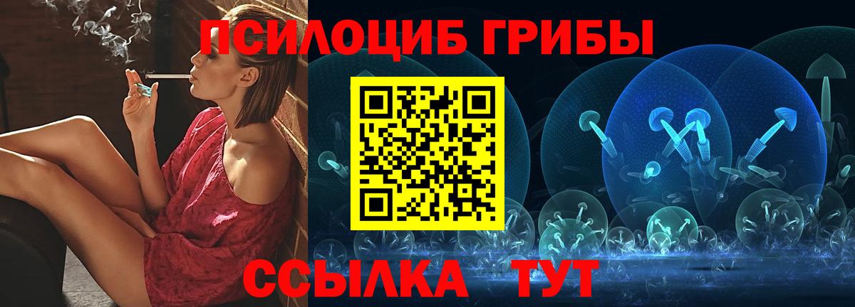 Псилоцибиновые грибы Psilocybe Батайск